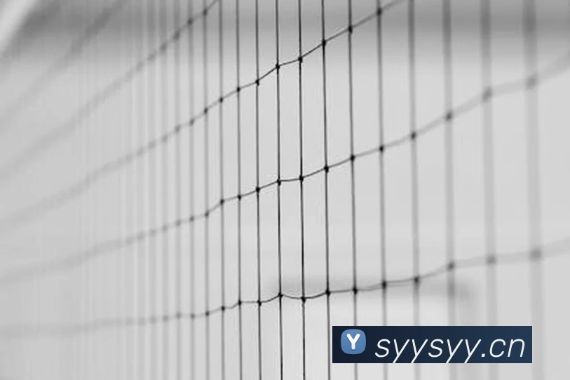 乐动手机官方网站 - 乐动(中国)APP 高清赛事图